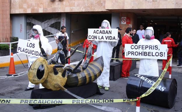 Manifestación contra los plaguicidas.