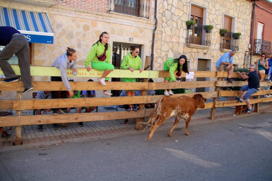 Torquemada vivió su jornada grande, con unos encierros que llevaron a las calles a jóvenes y mayores para disfrutar de los novillos. 