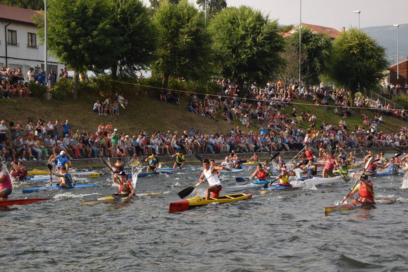 La competición contó con la participación de 320 palistas y 247 embarcaciones