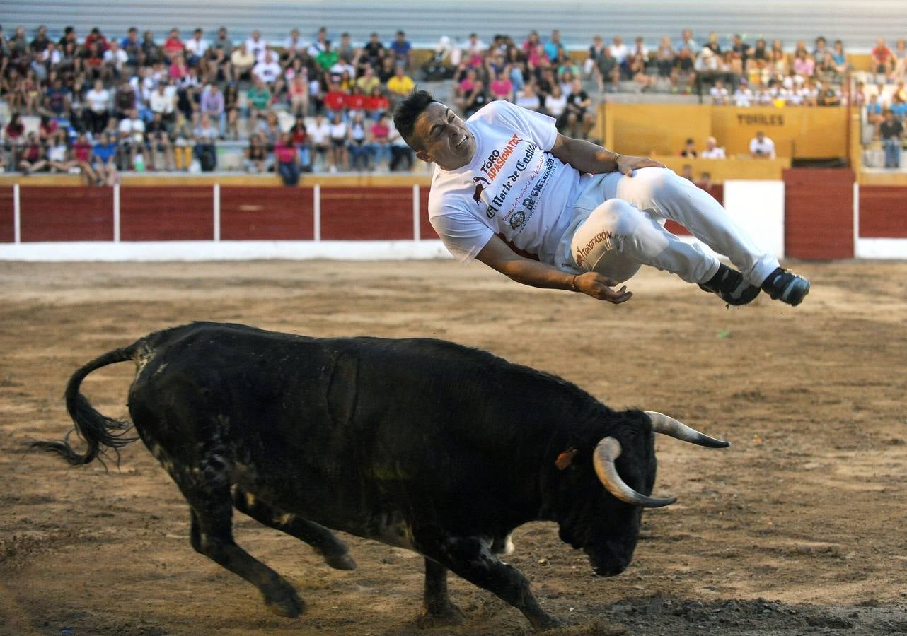 El campeón de España, Eusebio Sacristán, cautiva a público y jurado con saltos que rozan la perfección