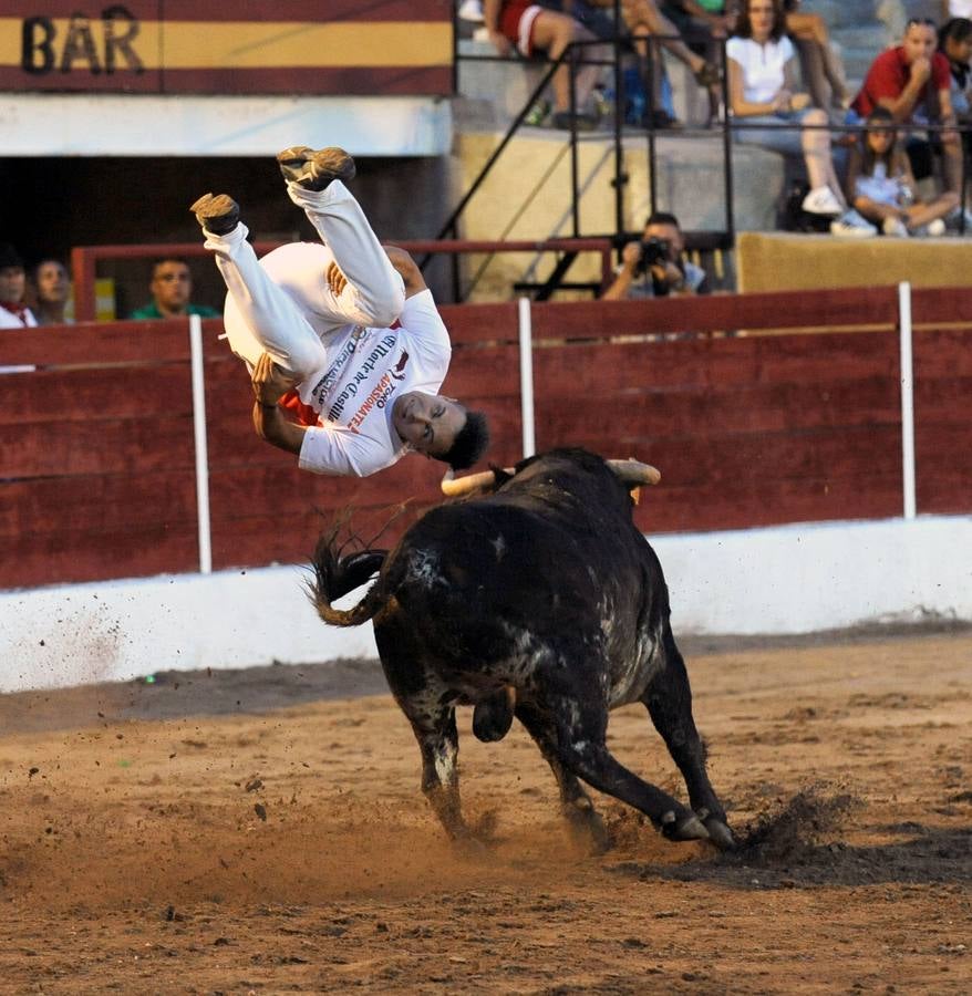 El campeón de España, Eusebio Sacristán, cautiva a público y jurado con saltos que rozan la perfección