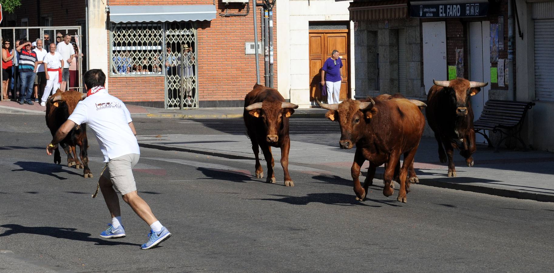 Tercer encierro de las fiestas de Tudela de Duero