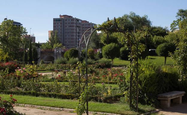 La Rosaleda es uno de los parques afectados por la restricción de riego. 
