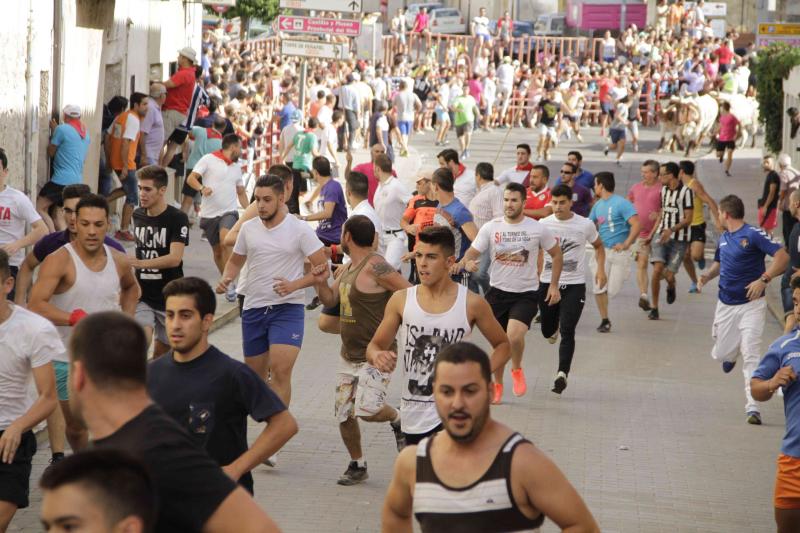 Encierro vespertino de Peñafiel