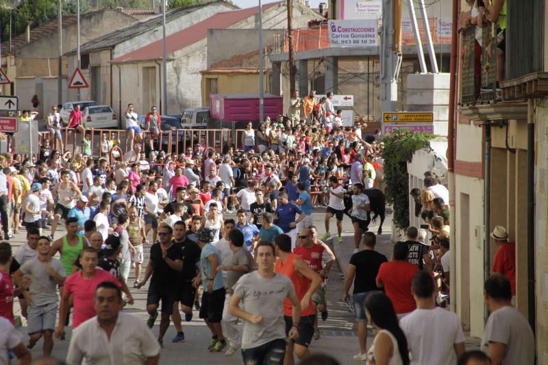 Encierro vespertino de Peñafiel