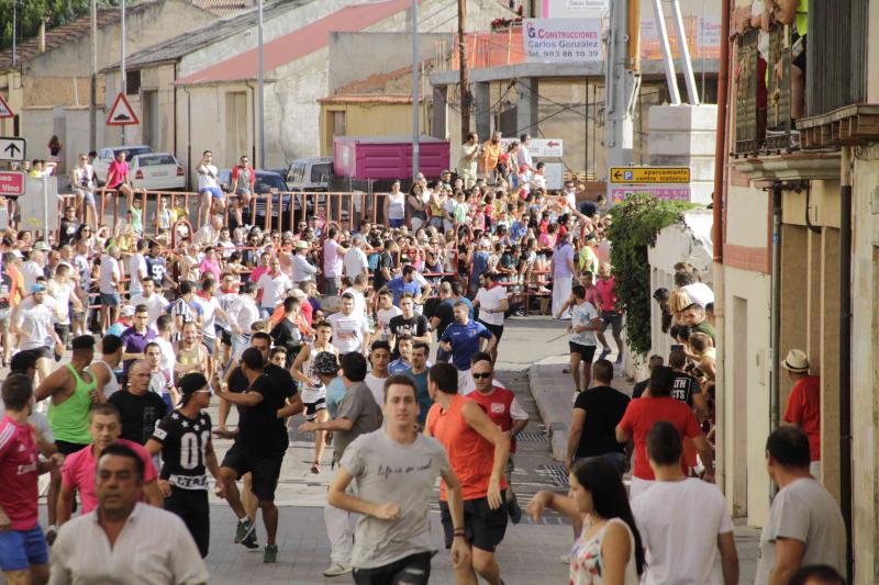 Encierro vespertino de Peñafiel