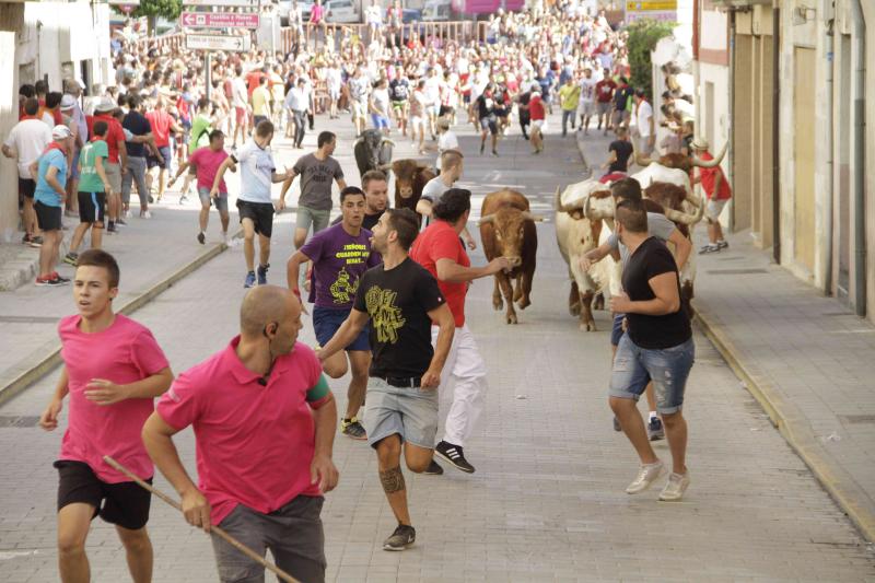 Encierro vespertino de Peñafiel