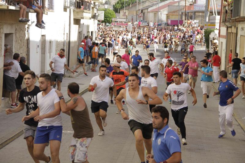 Encierro vespertino de Peñafiel