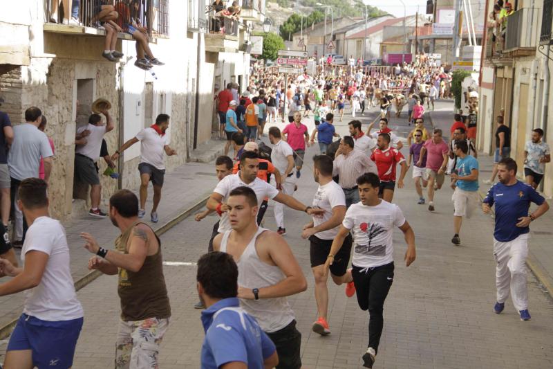 Encierro vespertino de Peñafiel