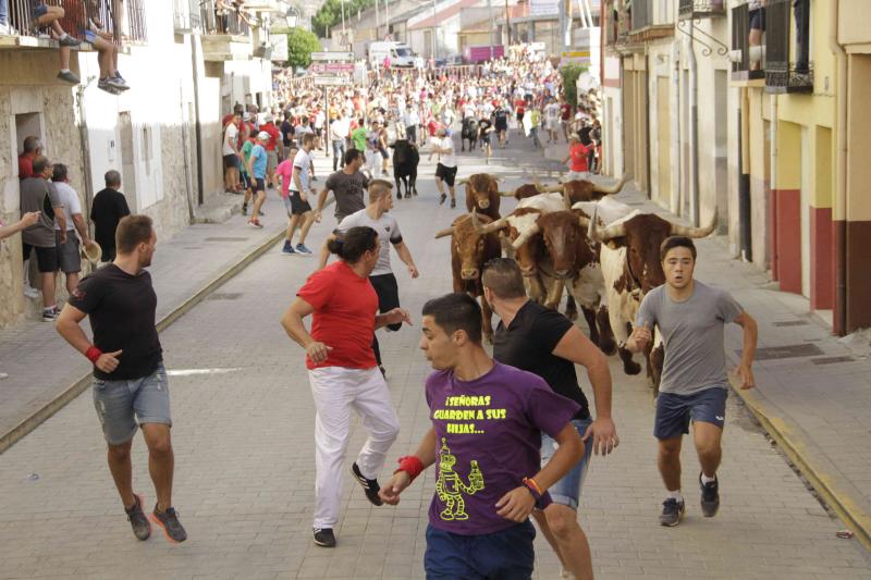 Encierro vespertino de Peñafiel