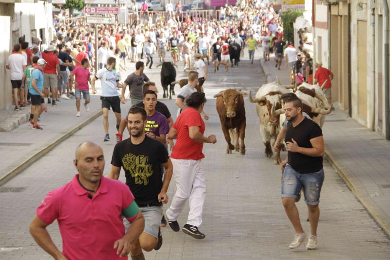 Encierro vespertino de Peñafiel