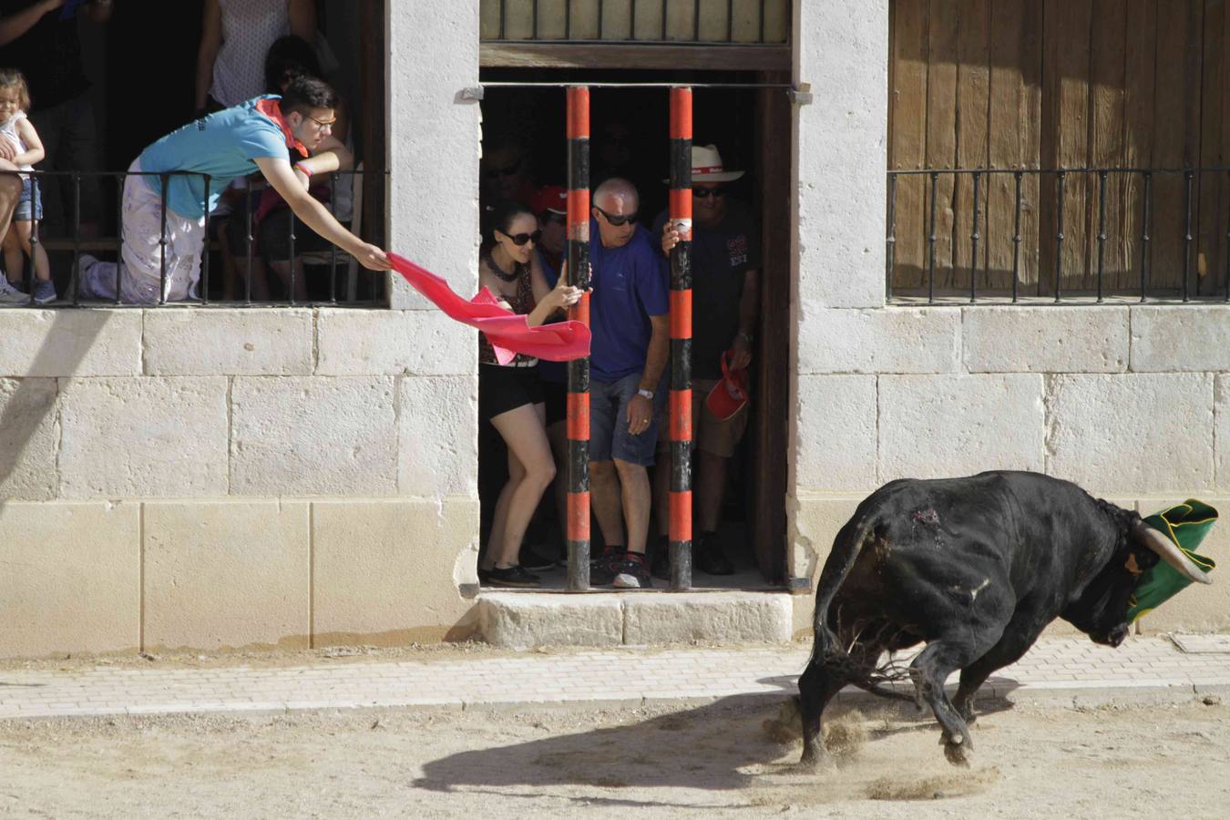 Encierro y posterior capea de las fiestas de Peñafiel