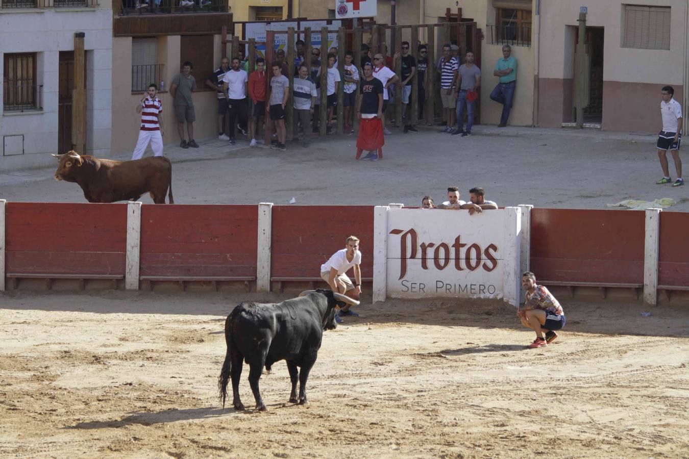 Encierro y posterior capea de las fiestas de Peñafiel