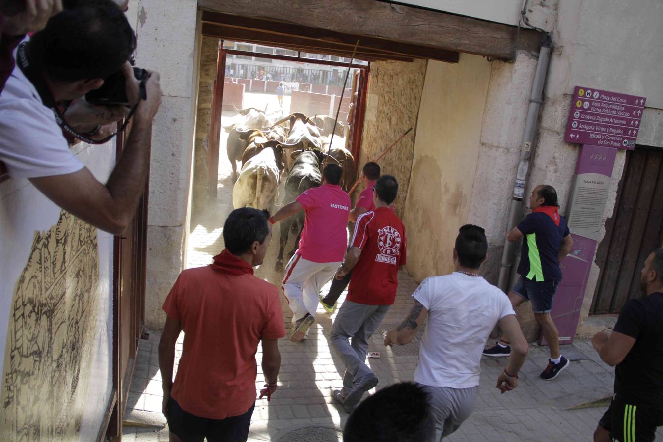 Encierro y posterior capea de las fiestas de Peñafiel