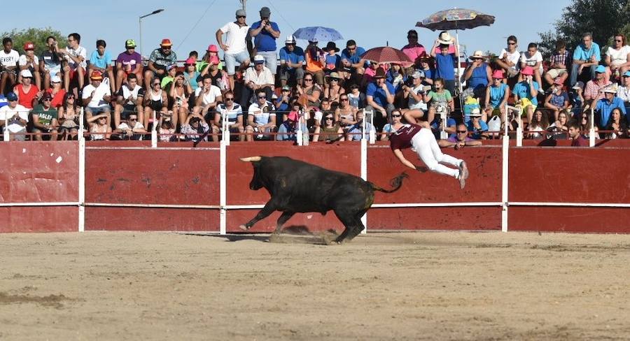 Concurso de Cortes en Aldeamayor de San Martín