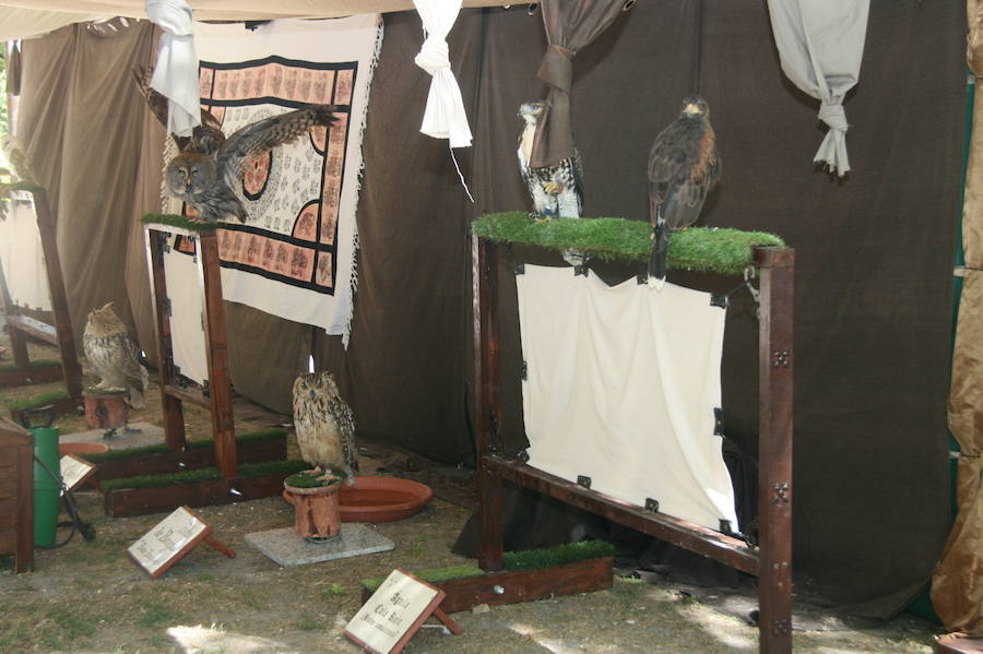 Jornada del sábado en &#039;Cuéllar Mudéjar&#039;