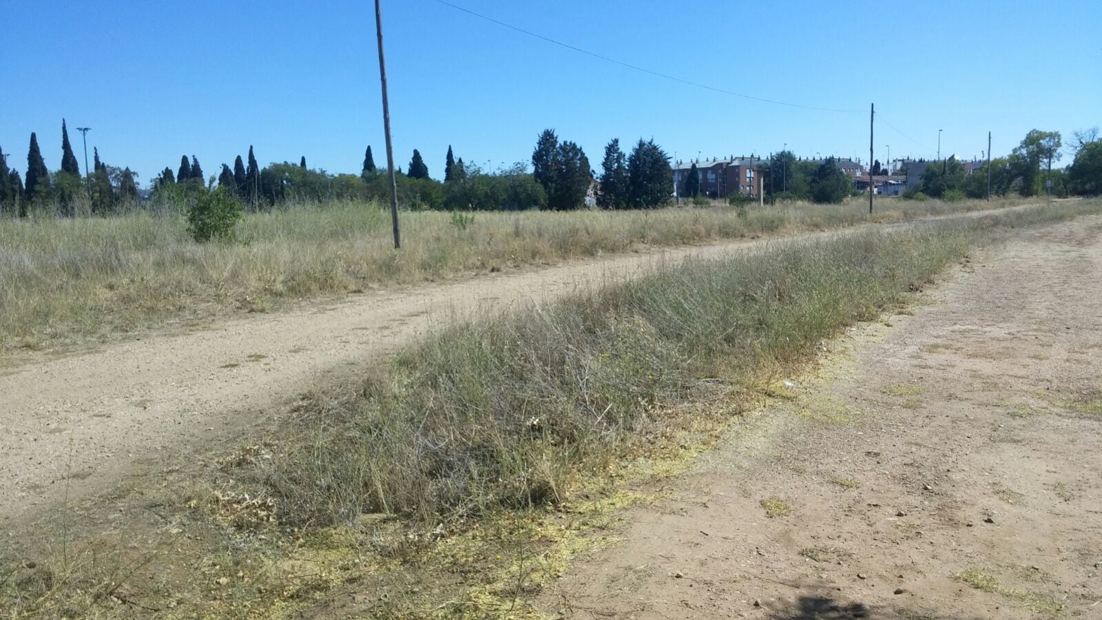 Campiña del Carmen de Extramuros, en Valladolid.