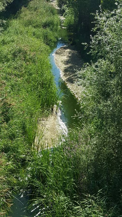 El río Cega a su paso por Viana de Cega (Valladolid).