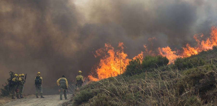 Las labores de extinción del fuego de La Cabrera