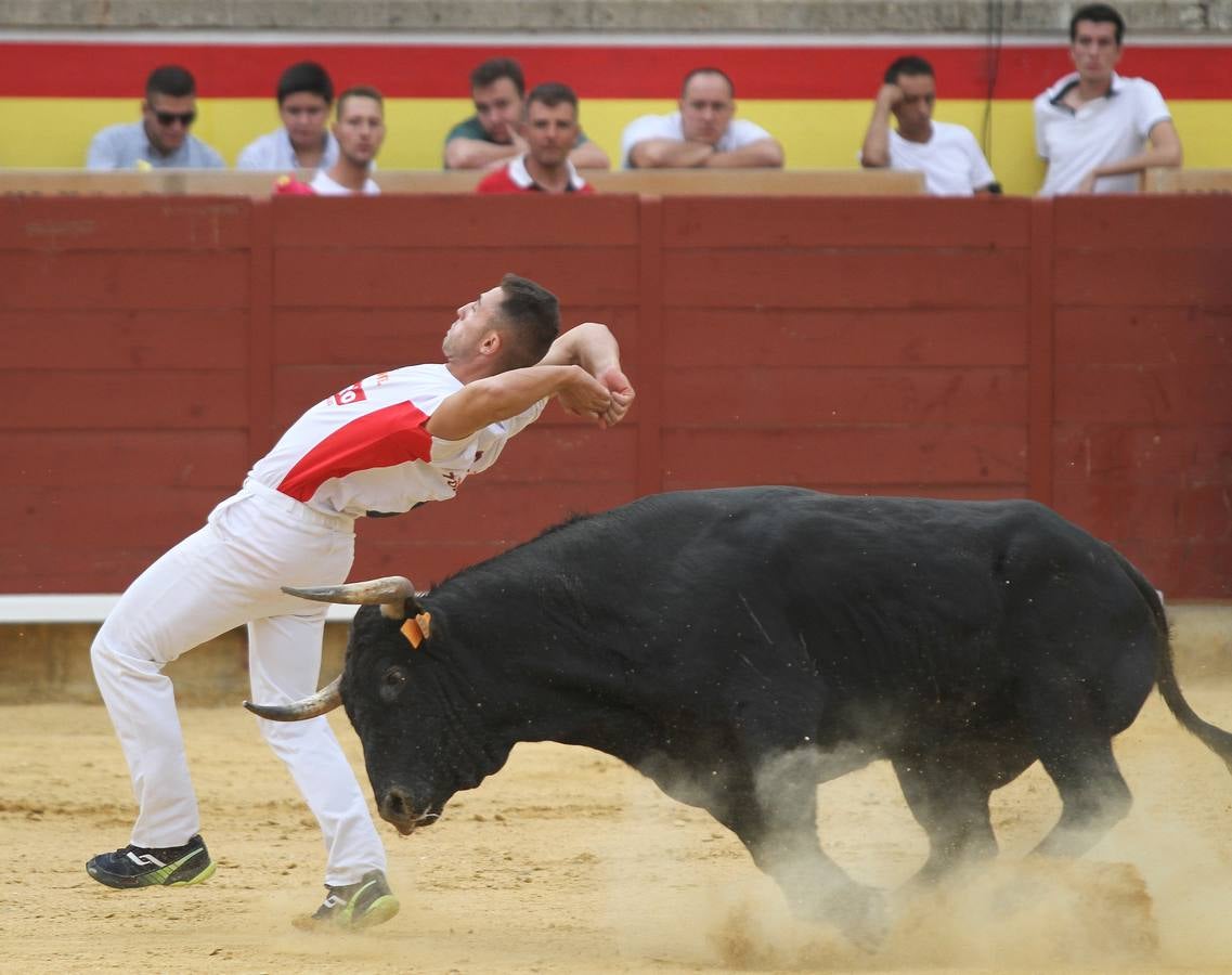 Campeonato Nacional de Recortadores de Palencia