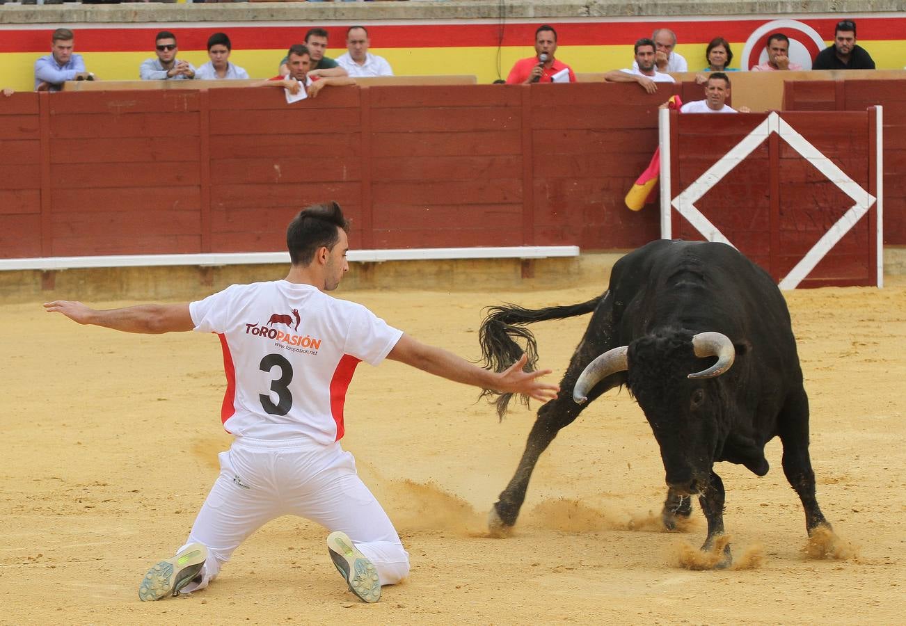 Campeonato Nacional de Recortadores de Palencia