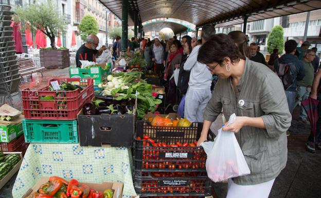 Hortalizas y verduras en el Mercado de Alimentos Ecológicos.