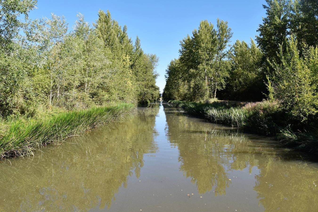 La propuesta se ha tenido que limitar al barco Marqués de la Ensenada, de Herrera de Pisuerga, debido al escaso caudal en Villaumbrales