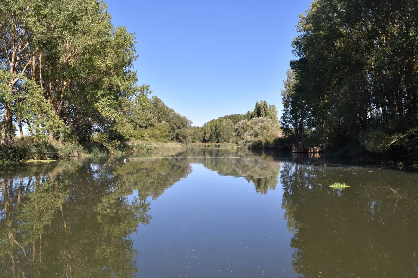 La propuesta se ha tenido que limitar al barco Marqués de la Ensenada, de Herrera de Pisuerga, debido al escaso caudal en Villaumbrales