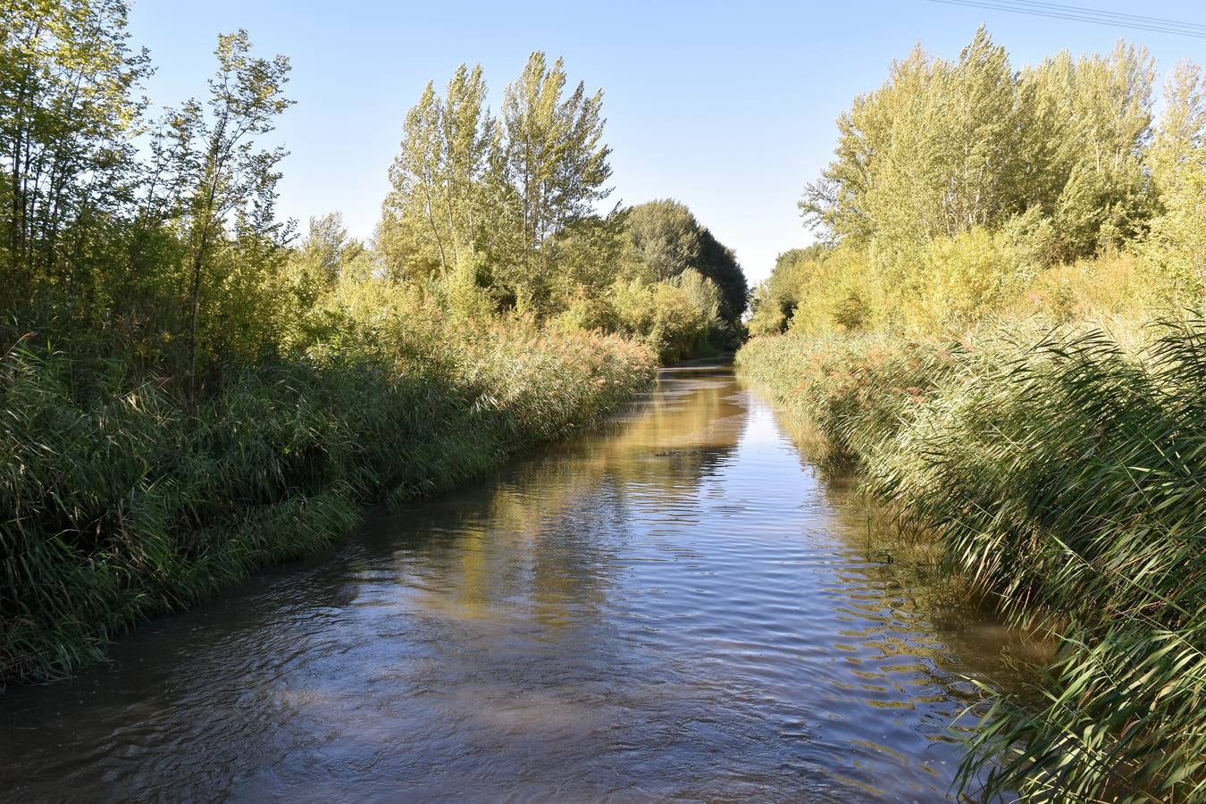 La propuesta se ha tenido que limitar al barco Marqués de la Ensenada, de Herrera de Pisuerga, debido al escaso caudal en Villaumbrales