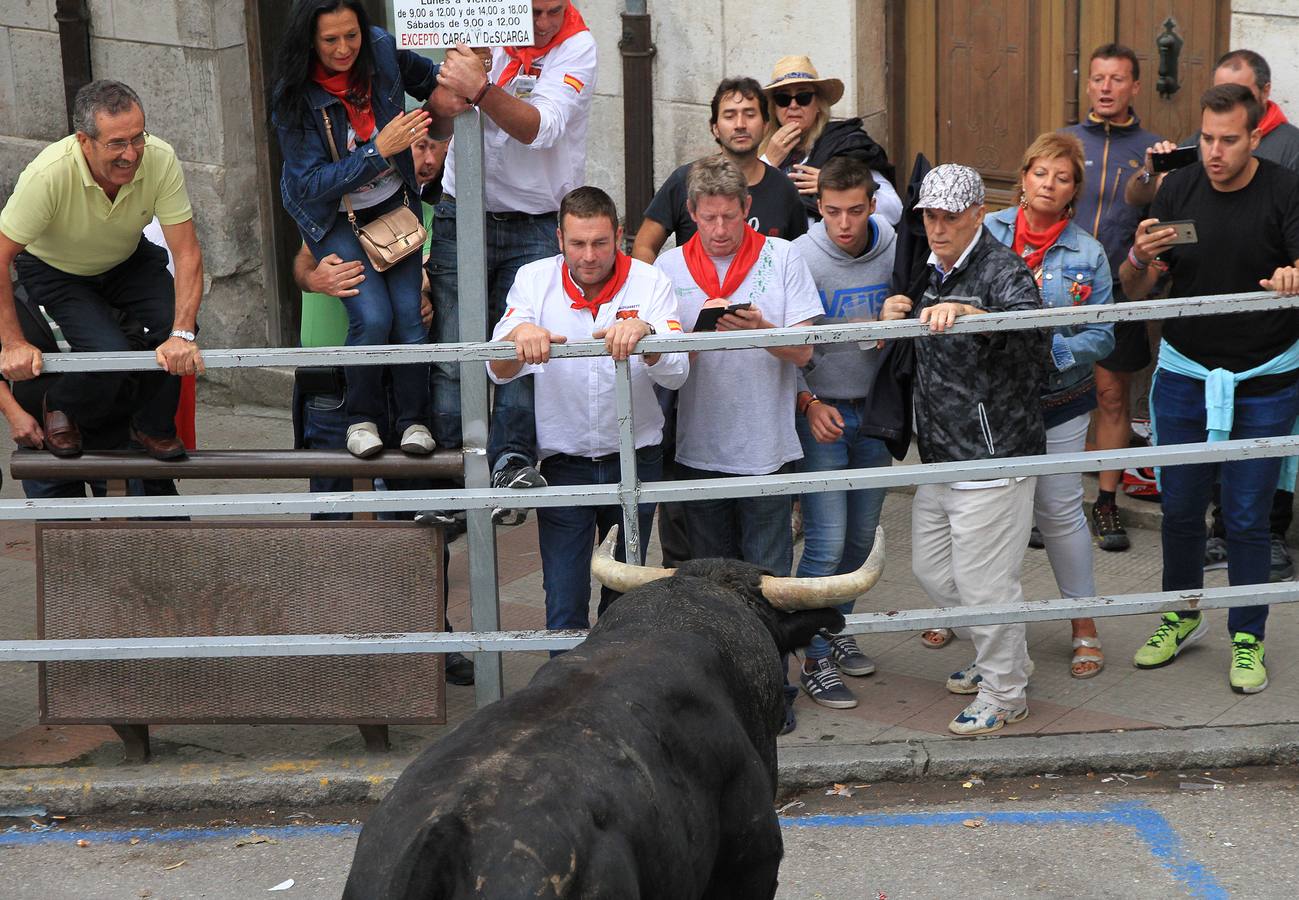 Únicamente tres astados han podido llegar al recorrido urbano y completar la carrera en el que cuatro personas han resultado heridas, dos de ellos por asta de toro y otros dos con contusiones