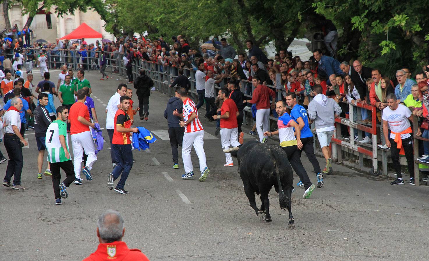 Únicamente tres astados han podido llegar al recorrido urbano y completar la carrera en el que cuatro personas han resultado heridas, dos de ellos por asta de toro y otros dos con contusiones