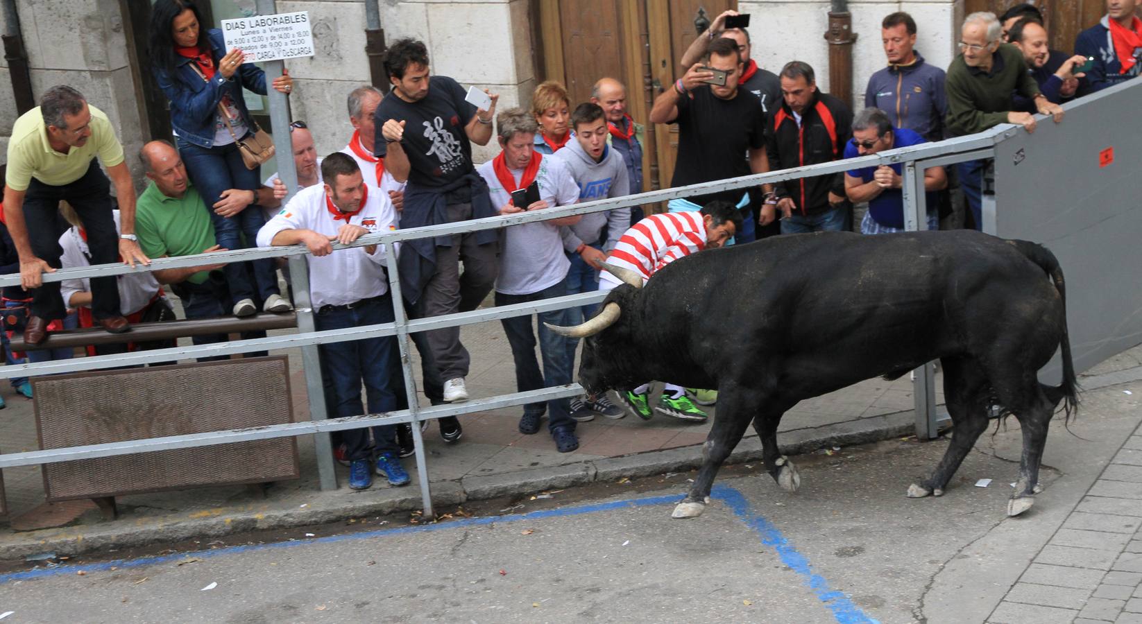 Únicamente tres astados han podido llegar al recorrido urbano y completar la carrera en el que cuatro personas han resultado heridas, dos de ellos por asta de toro y otros dos con contusiones
