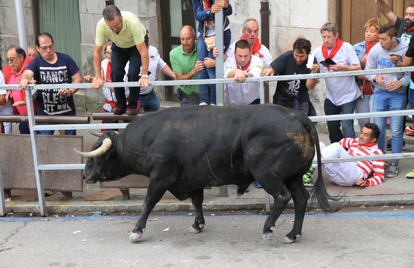 Únicamente tres astados han podido llegar al recorrido urbano y completar la carrera en el que cuatro personas han resultado heridas, dos de ellos por asta de toro y otros dos con contusiones