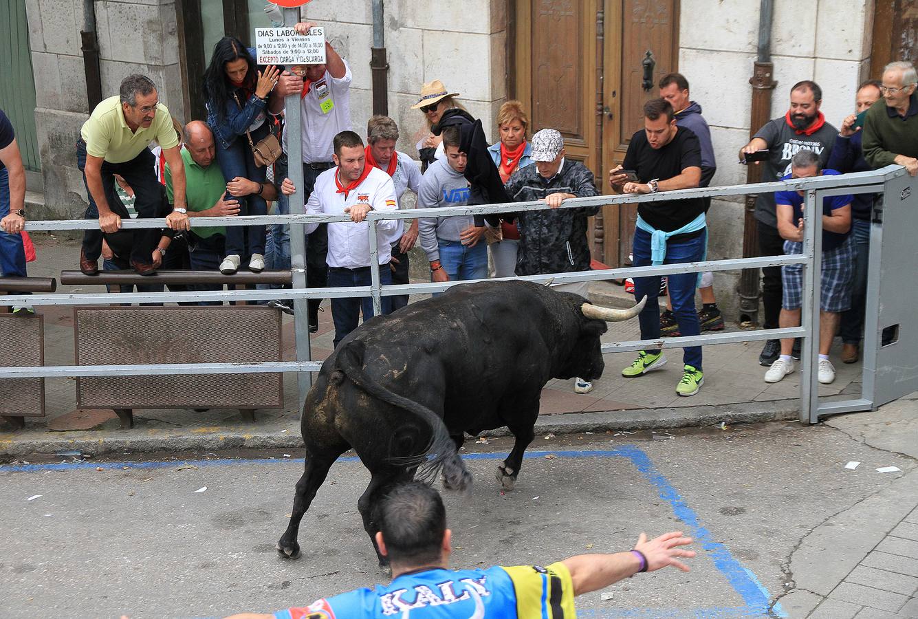 Únicamente tres astados han podido llegar al recorrido urbano y completar la carrera en el que cuatro personas han resultado heridas, dos de ellos por asta de toro y otros dos con contusiones