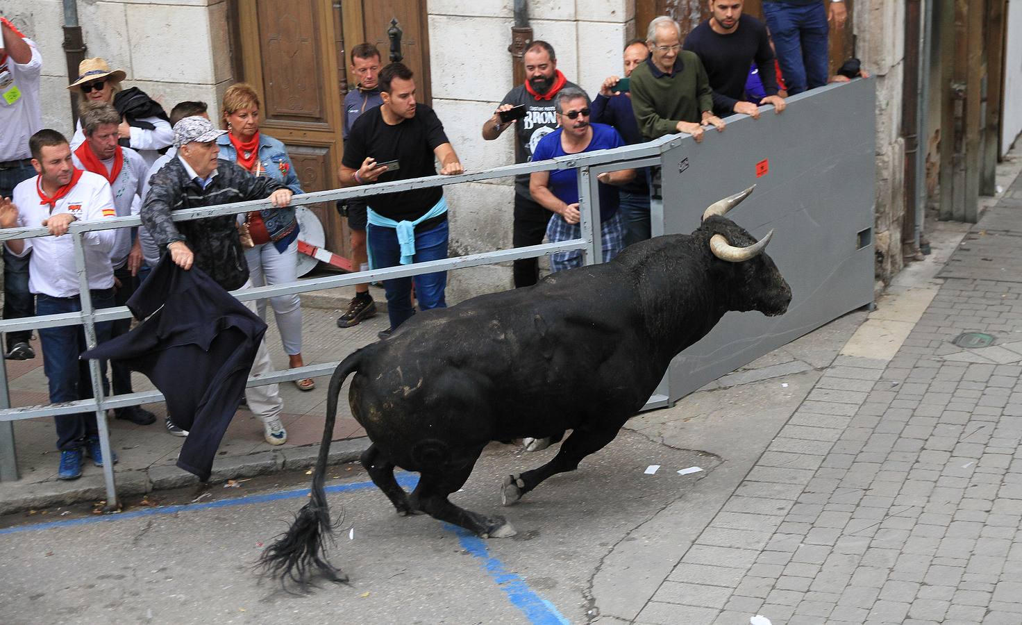 Únicamente tres astados han podido llegar al recorrido urbano y completar la carrera en el que cuatro personas han resultado heridas, dos de ellos por asta de toro y otros dos con contusiones