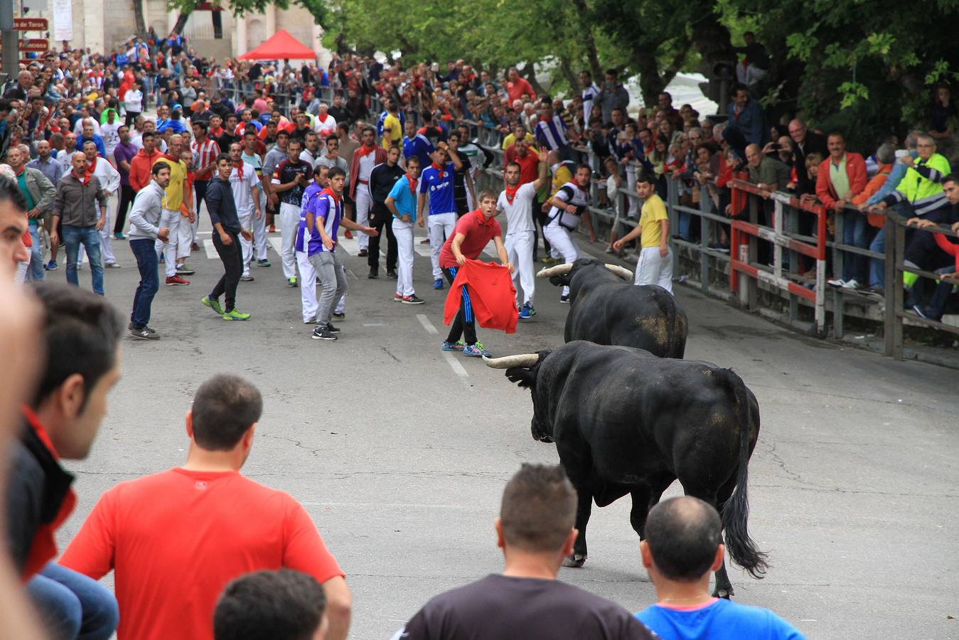 Únicamente tres astados han podido llegar al recorrido urbano y completar la carrera en el que cuatro personas han resultado heridas, dos de ellos por asta de toro y otros dos con contusiones