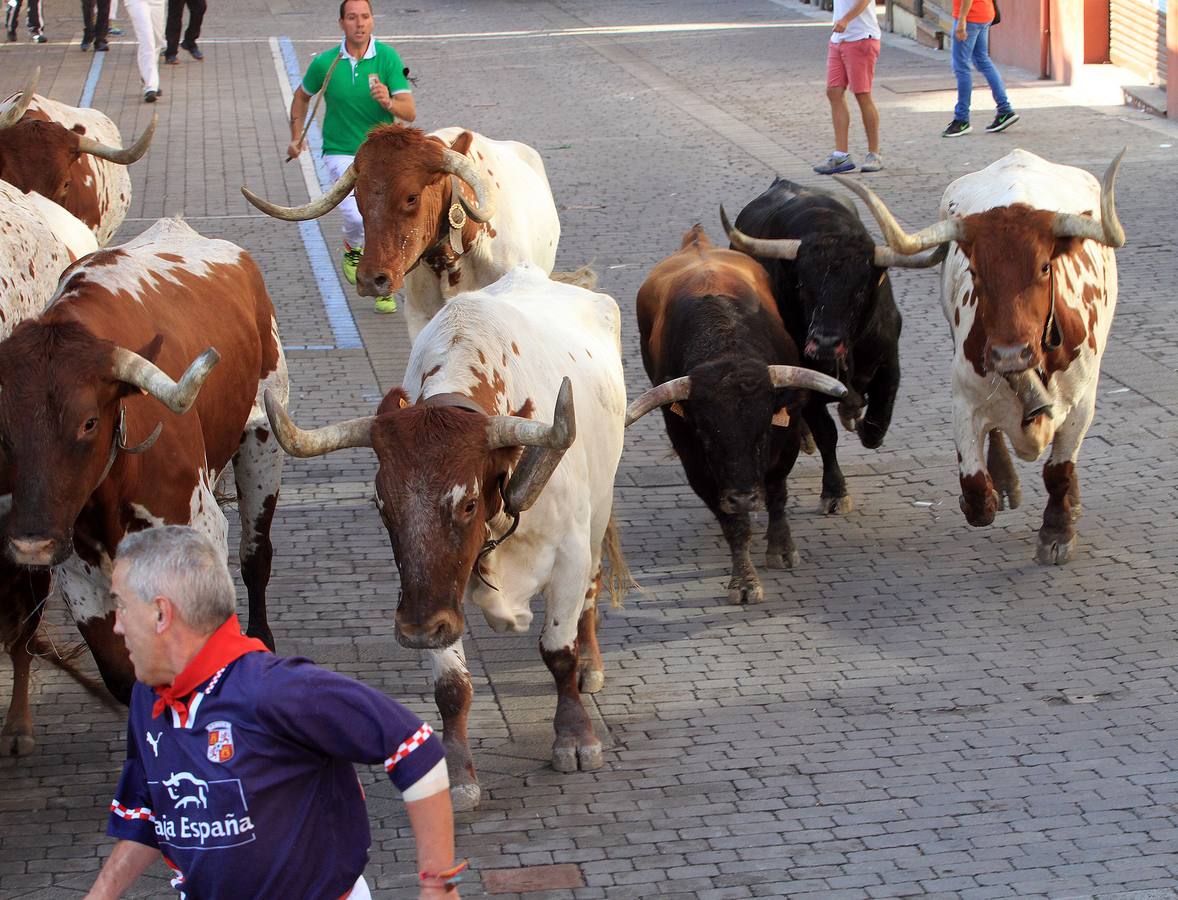 Hoy vecinos y visitantes pudieron disfrutar de una carrera completa y modélica, que resultó limpia y vibrante de principio a fin