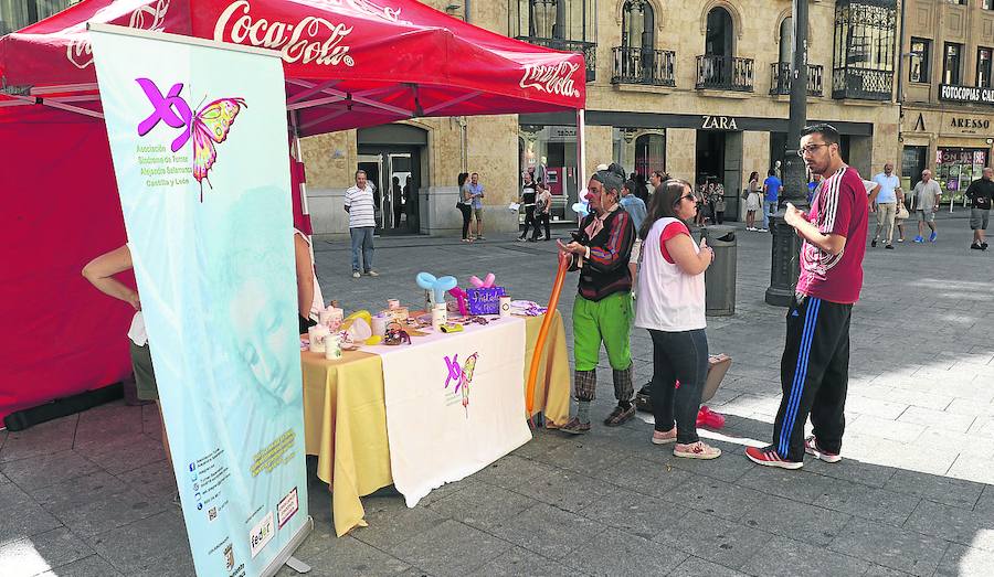 Mesa informativa instalada ayer en la plaza del Liceo. 