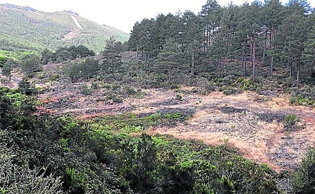 Terreno donde se va a construir el azud de La Alberca. 