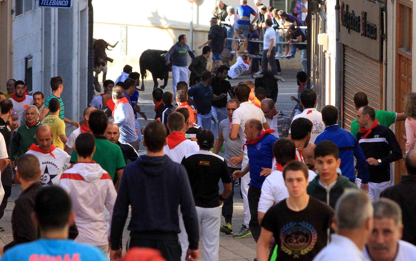 Los toros de la ganadería de Lagunajanada, protagonizaron momentos emocionantes y peligrosos en las calles, al entrar toda la manada disgregada