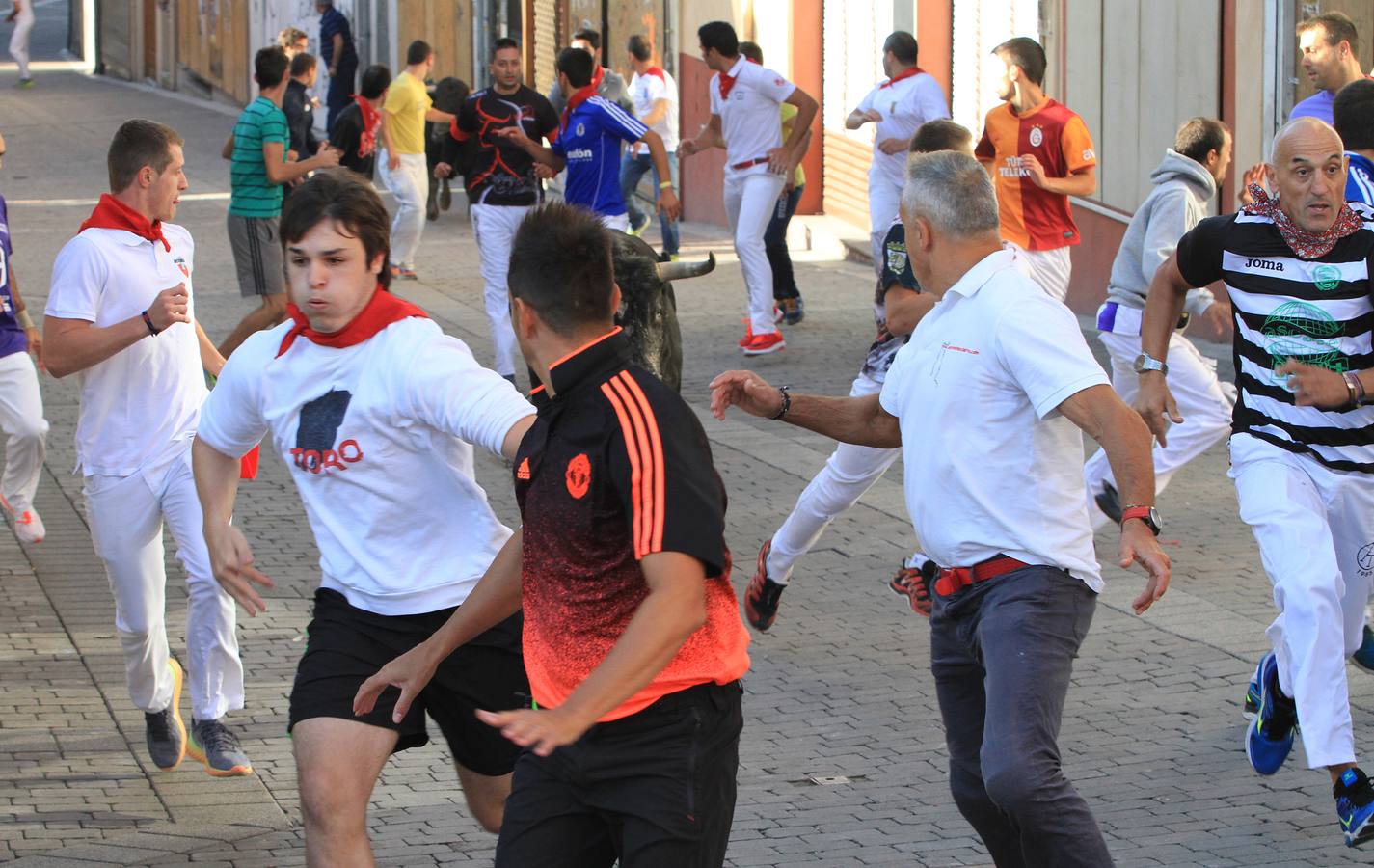 Los toros de la ganadería de Lagunajanada, protagonizaron momentos emocionantes y peligrosos en las calles, al entrar toda la manada disgregada