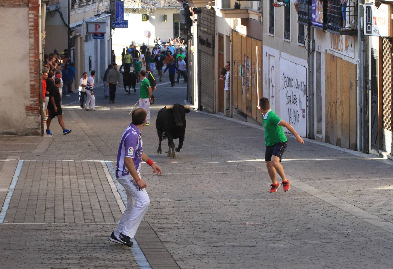 Los toros de la ganadería de Lagunajanada, protagonizaron momentos emocionantes y peligrosos en las calles, al entrar toda la manada disgregada