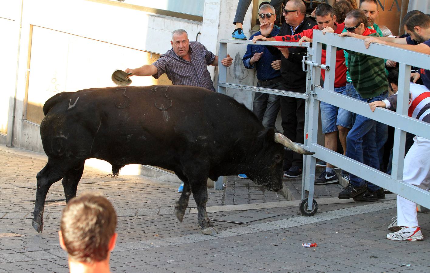 Los toros de la ganadería de Lagunajanada, protagonizaron momentos emocionantes y peligrosos en las calles, al entrar toda la manada disgregada