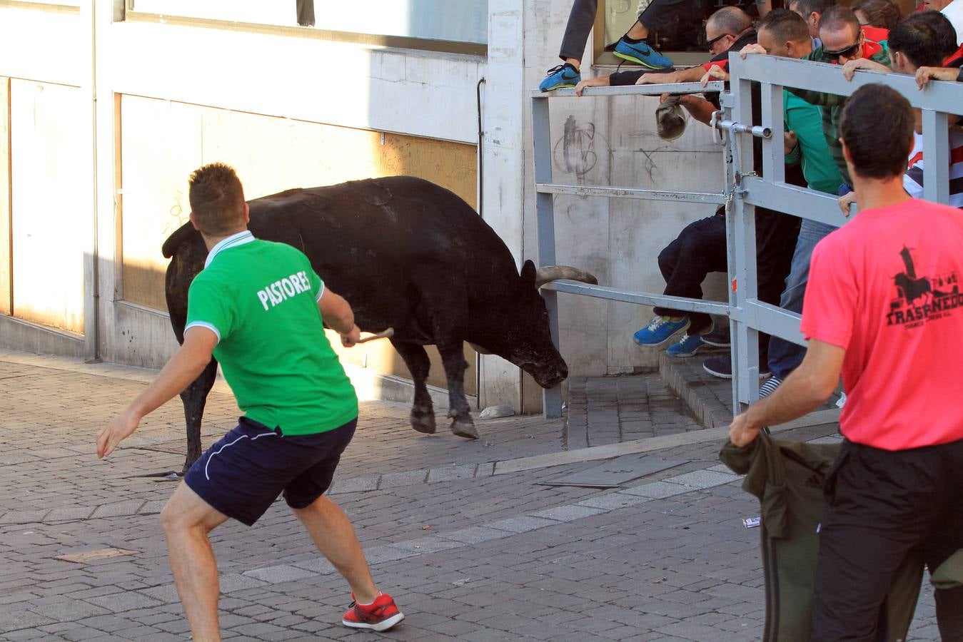 Los toros de la ganadería de Lagunajanada, protagonizaron momentos emocionantes y peligrosos en las calles, al entrar toda la manada disgregada