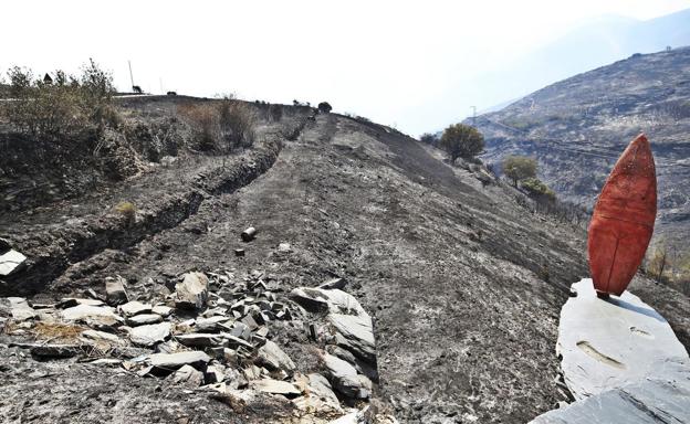 Imagen de la zona afectada por el incendio.