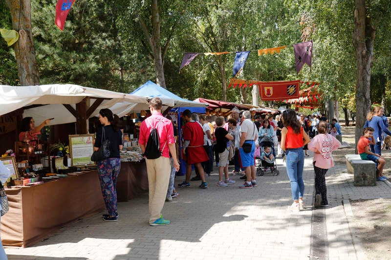 Mercado medieval de San Antolín en el parque del Sotillo