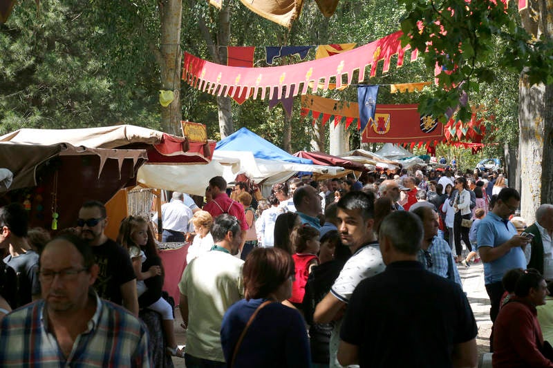 Mercado medieval de San Antolín en el parque del Sotillo