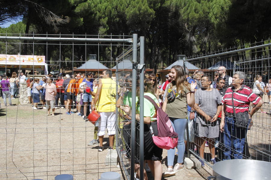 Día de las Peñas en laguna de Duero