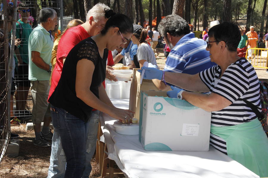 Día de las Peñas en laguna de Duero