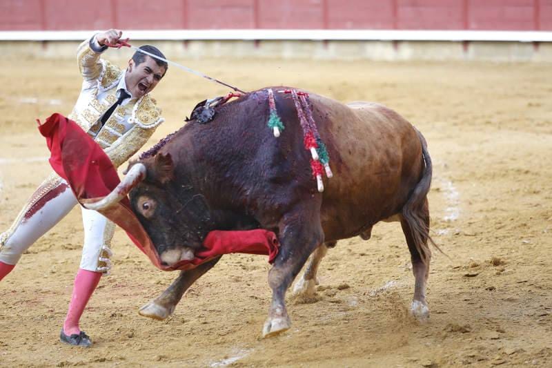 Ginés Marín, Joselito Adame y Juan del Álamo en Campos Góticos de Palencia